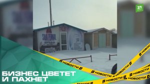 Бизнес цветет и пахнет. Южноуралец заподозрил коммерсантов в махинациях с землями сельхозназначения