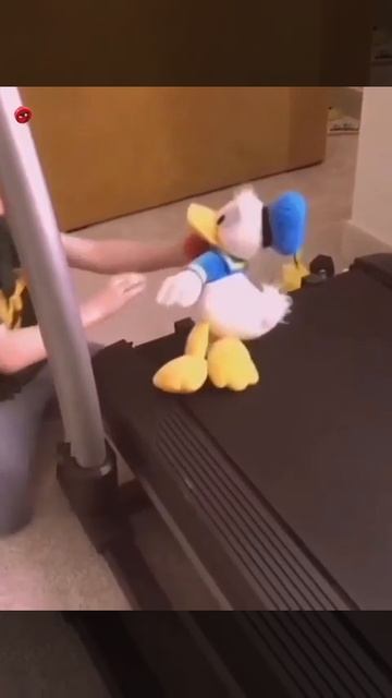 Я за Дональдом