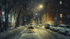 Малый проспект Петроградской стороны