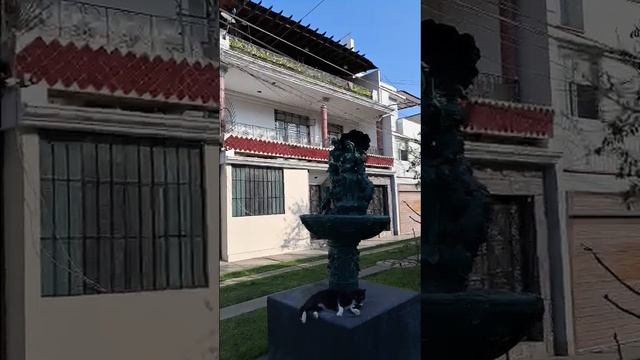 Хесус Мария 2025