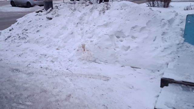 Прогулка в новых зимних кроссовках, тест смотреть онлайн