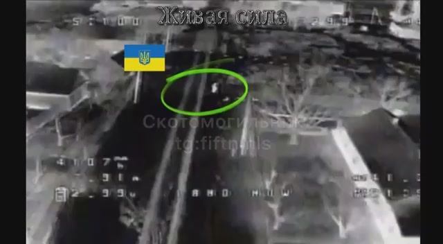 ������ ����� �� �����������