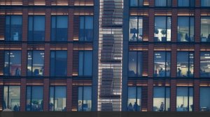 Психолог рассказала о влиянии гендерных стереотипов на рабочие разногласия