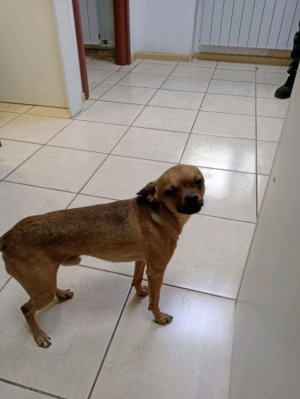 что то сегодня долго