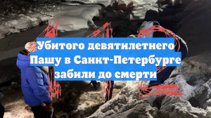Убитого девятилетнего Пашу в Санкт-Петербурге забили до смерти