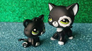 LPS: My Real Life episode 1 season 1