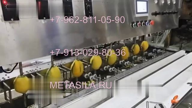 Станок для очистки манго SL700