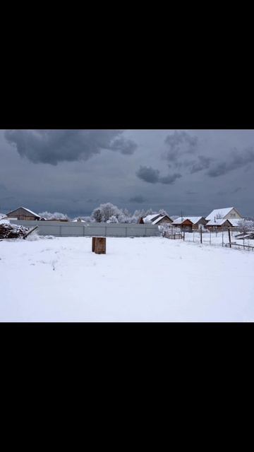 document_5192808936255818495