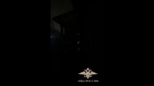 В Нижегородской области полицейские предотвратили заказное убийство блогера