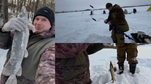 Рыбалка. Снова за щукой...