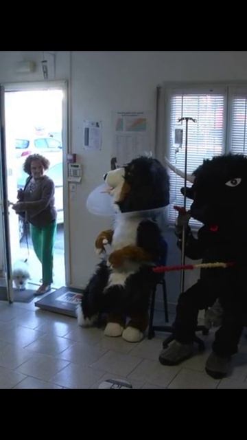 Лучшая клиника в мире