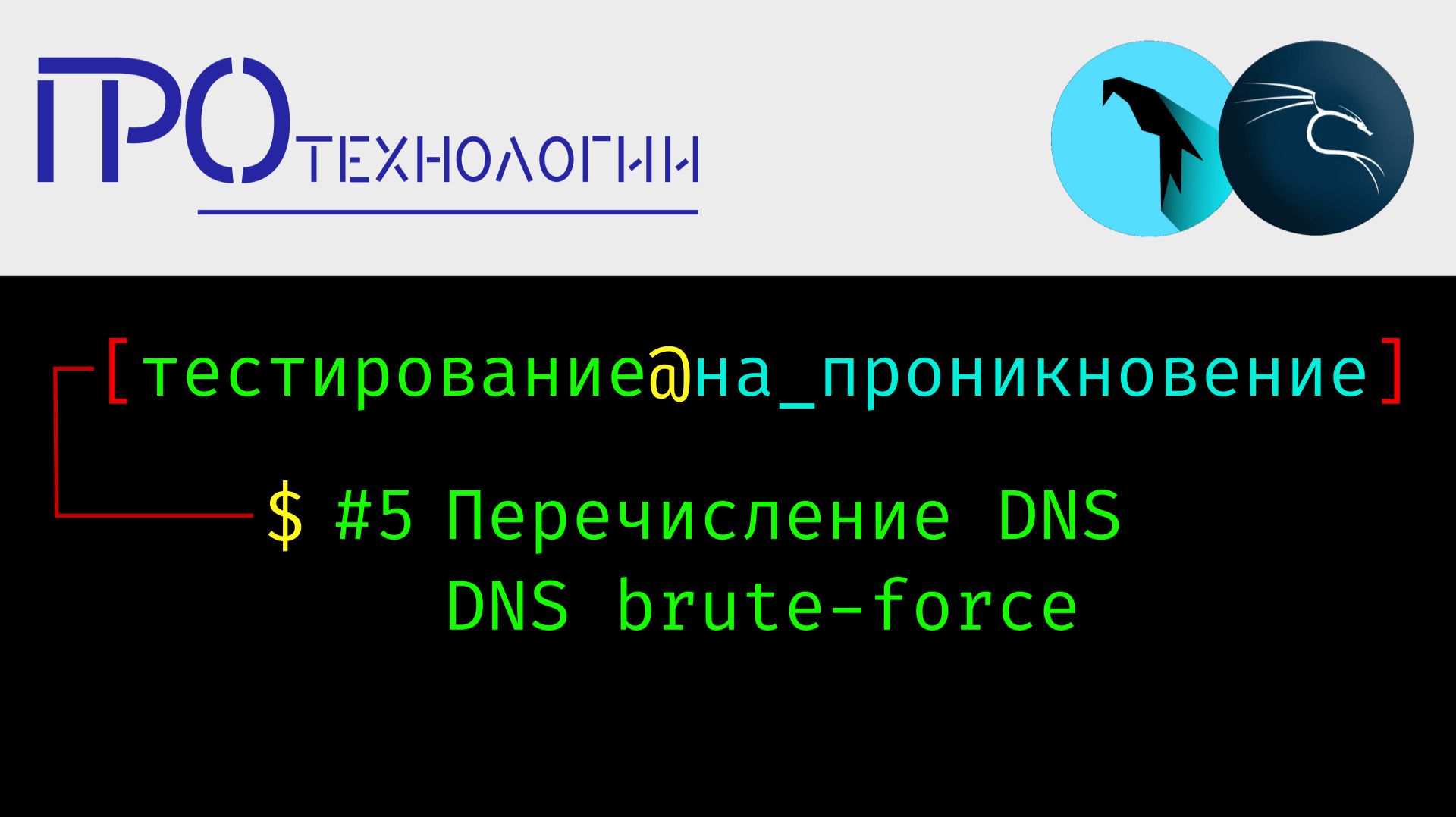 Pentest 5 Перечисление DNS смотреть онлайн