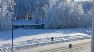 02 февраля 2026 Вид из окна