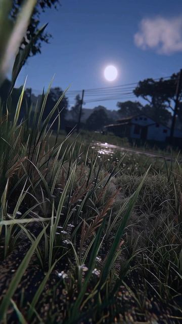 Ночной хор.