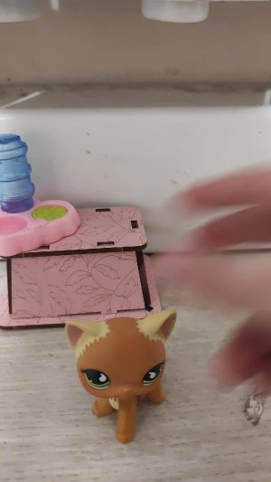 день лпеэсника!