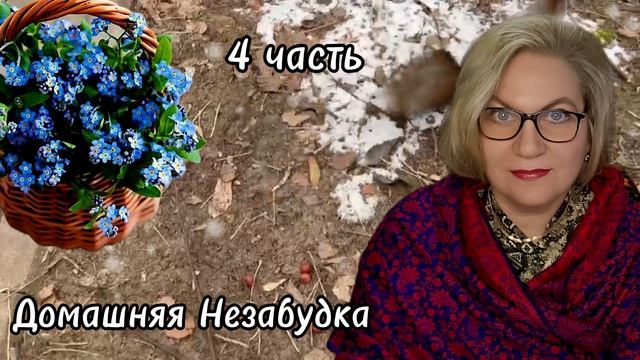 4 часть. Решение принято❗️Кроссовер для тер@боньки❗️ смотреть онлайн