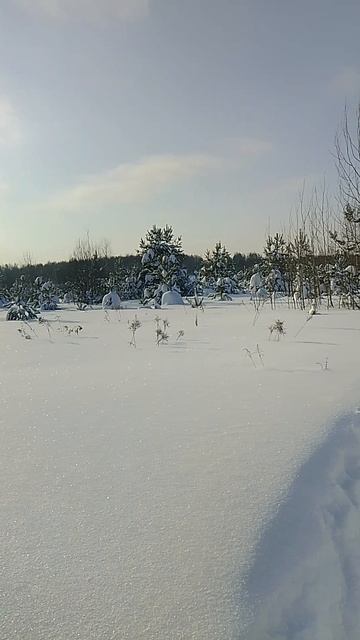 Солнечные дни