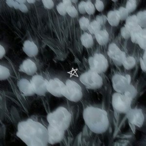 я мать одиночка