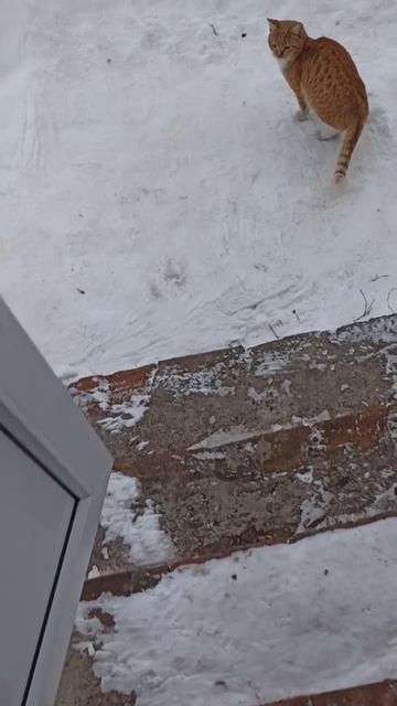 Сейчас мы будем кушать..mp4