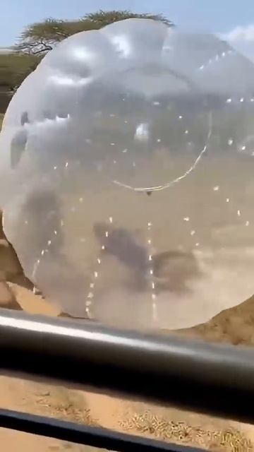 Безумный аттракцион смотреть онлайн