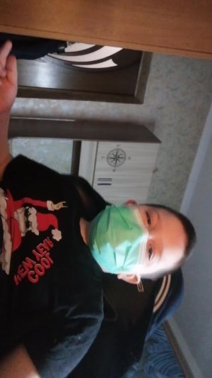 Растения против зомби садовая лепка 2