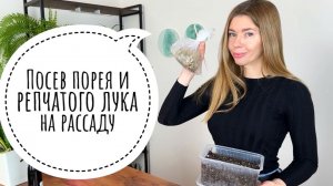 Инструкция по выращиванию рассады лука: сроки, грунт, высадка на грядку