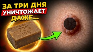 99% людей НЕ ЗНАЮТ! Хозяйственное мыло может уничтожить даже....