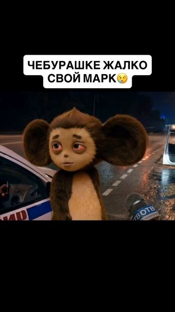 Чебурашка попал в ДТП 😂 Купить Чебурашку в Москве ShopToyz #Чебурашка #мем #ShopToyz