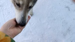 Грета или Герда