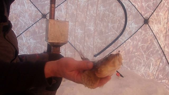 сухое море  Ульмица-Лысая гора