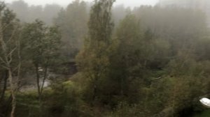 Пос. Сосновый Бор Утро. 2025.