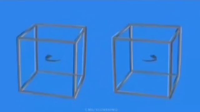 Оптическая иллюзия или «Как нас обманывать?» смотреть онлайн