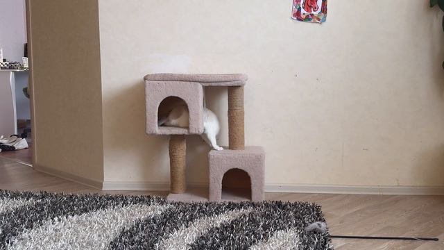 Зачем нам ночные линзы Уехали в Уфу в Буран