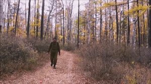 " Прогулка в осень..."