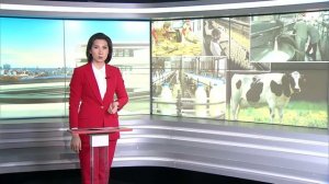 Адымнар 31/01/2026