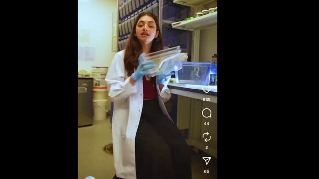 данио Рерио разведение.mp4