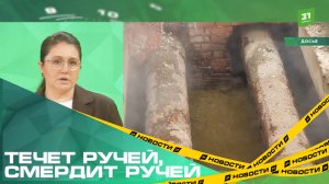 Течет ручей, смердит ручей. Южноуральцы массово заявляют о прорывах канализации