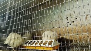 "Жизнь в частном доме: рабочие моменты