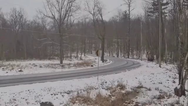 То самое идеальное место для СТОшки найдено смотреть онлайн