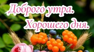 С добрым февральским утречком! Хорошего дня! Музыкальная открытка