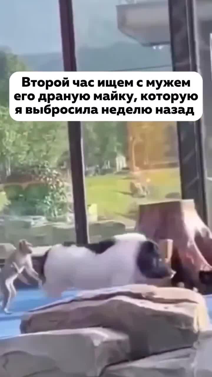 #мем #Угар #Мемосяндия