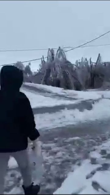 Катастрофические последствия ледяного дождя в городе Котельниково Волгоградской области.