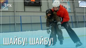 Юные медведи вышли на лед