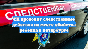 СК проводит следственные действия на месте убийства ребенка в Петербурге