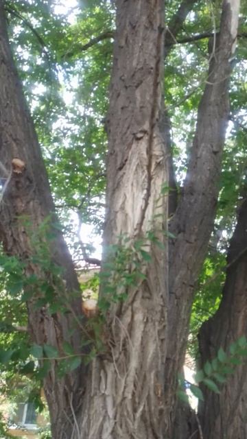 Ул. Генерала Епишева. Жилгородок