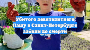 Убитого девятилетнего Пашу в Санкт-Петербурге забили до смерти