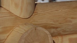 Баня под крышу с дровником и верандой из оцилиндрованного бревна диаметром 240 мм.