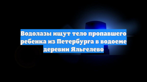 Водолазы ищут тело пропавшего ребенка из Петербурга в водоеме деревни Яльгелево