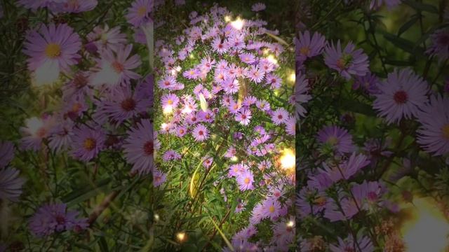 упражнение  Водопад