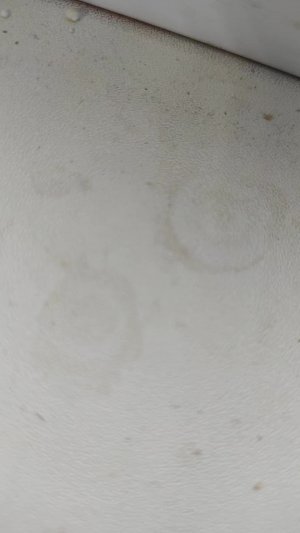 лпс новая жизнь